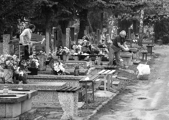 Za gruntowne posprzątanie i umycie pomnika na cmentarzu profesjonalna firma życzy sobie od 60 zł wzwyż.
