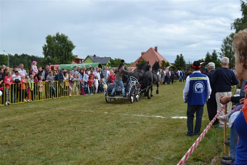 VI Mistrzostwa Kaszub w jeździe na oklep i wyścigi bryczkami w Szymbarku