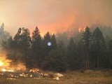 Piła: na przedmieściach miasta paliło się 15 hektarów lasu