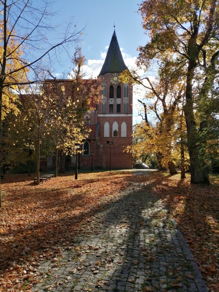 Jesień w Pruszczu Gdańskim (październik 2022)