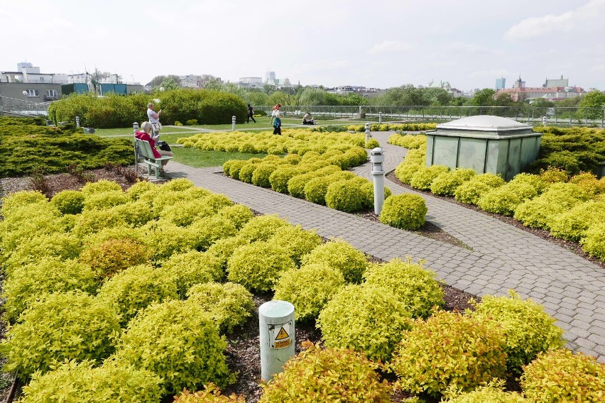 Ogród na dachu BUW zachwyca. To najpiękniejszy park w Warszawie. W tym roku wygląda przepięknie