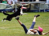 Niełatwo nauczyć psa... latać [zdjęcia]