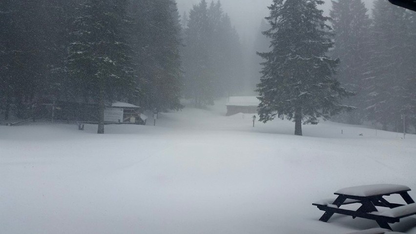 Wielkanoc 2015 w górach? Śniegu jest dużo, warunki na szlakach trudne [ZDJĘCIA]