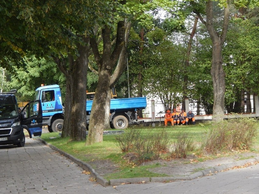 W Ustce rozpoczął się remont ulicy Pogodnej. Parking mniejszy, ale dwa klony ocaleją