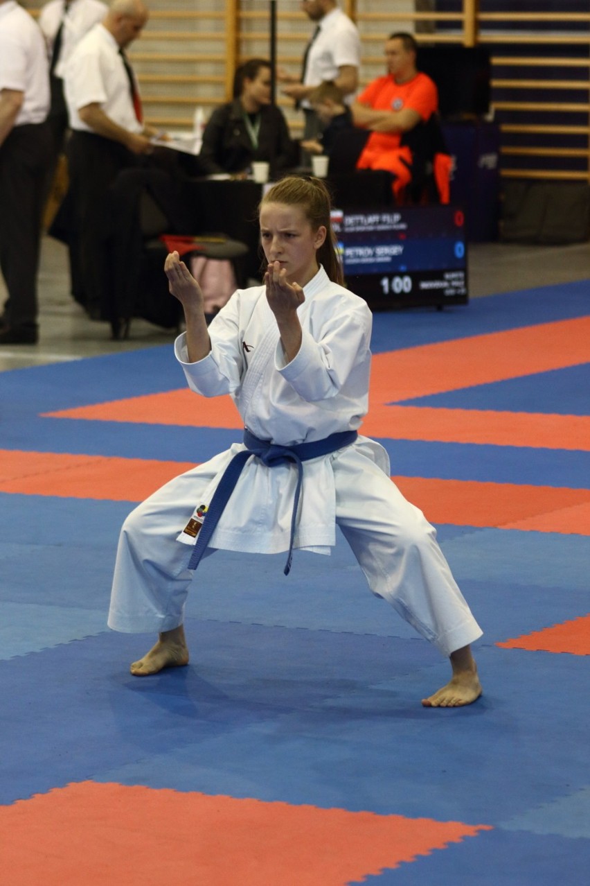 Karatecy ze Stanów Zjednoczonych, Niemiec, Ukrainy czy Szwecji rywalizowali w Pleszewie podczas Central Poland Open Grand Prix Karate WKF