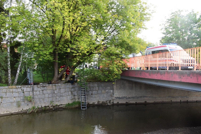 W Dzierżoniowie przy moście na ul. Kościuszki w korycie rzeki Piława dostrzeżono ciało mężczyzny