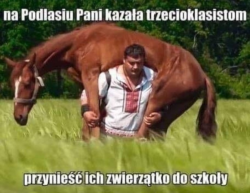 W naszym regionie rolników nie brakuje, wielu sobie...