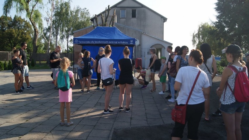 Kaliszanie wyprowadzili na spacer psy ze schroniska