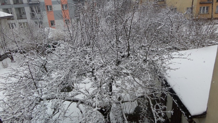 Zima wróciła 1 kwietnia. Zimowe, kwietniowe krajobrazy w Myszkowie ZDJĘCIA
