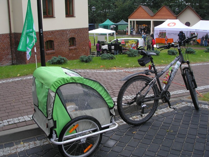 Piknik ekologiczny w Dworku Drzewiarza w Gościcinie