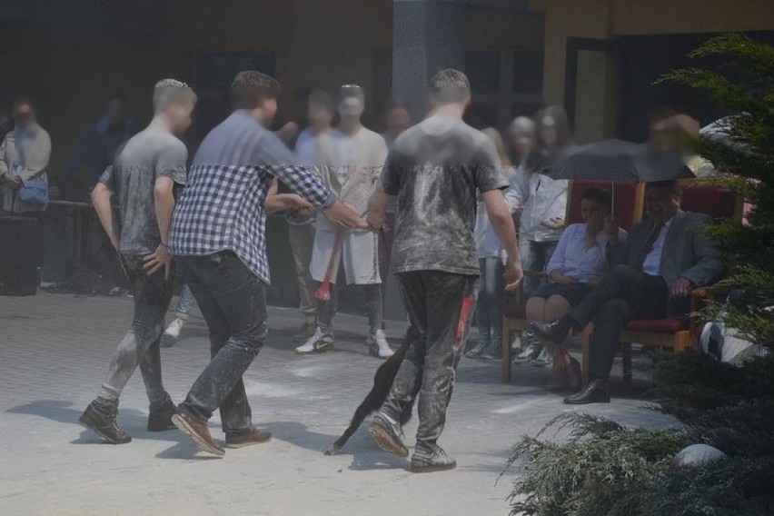 Uczniowie II LO w Opolu dręczyli kozę podczas apelu? TOZ chce powiadomić prokuraturę 