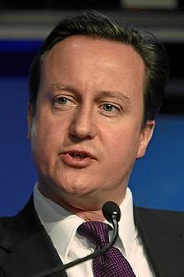 David Cameron - premier rządu Wielkiej Brytanii