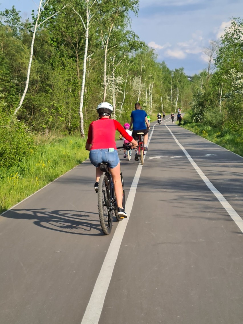 Nowy Sącz. Ścieżka na Kamienicą pełna rowerzystów [ZDJĘCIA]