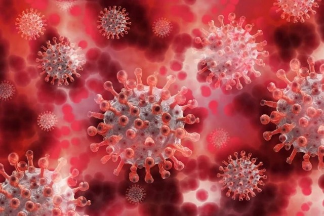 Dane dotyczące pandemii koronawirusa w środę, 2 grudnia 2020 roku.
