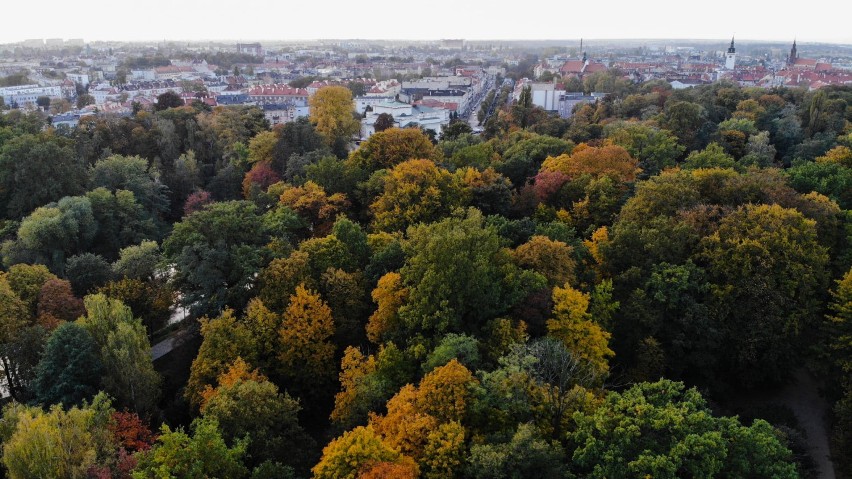 Park miejski w Kaliszu. Zobacz jak imponująco wygląda...