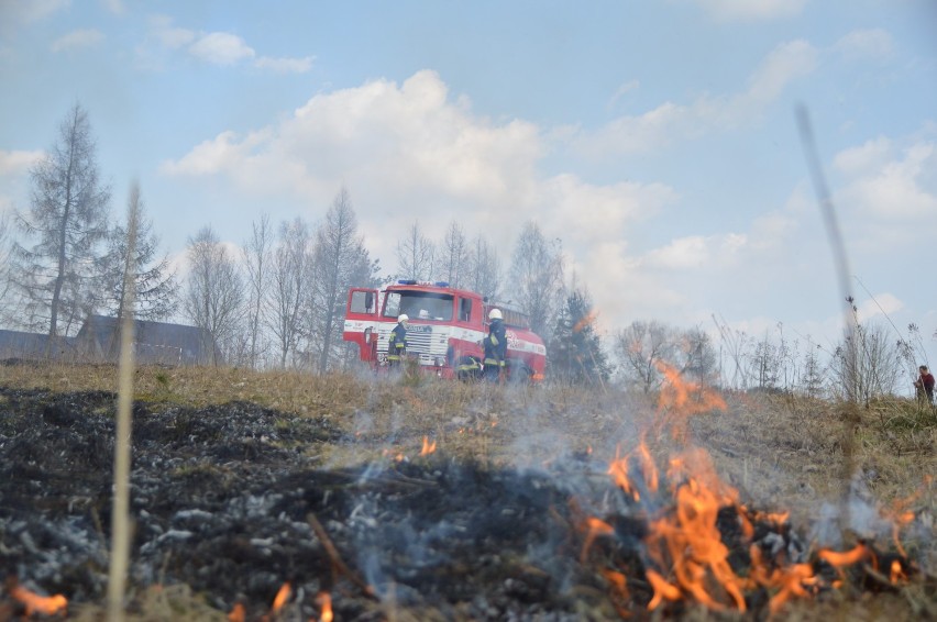 Pożar trawy w Rekowie udało się szybko opanować. Strażacy apelują: Nie wypalaj trawy!