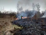 Powiat wadowicki. Pijany został poparzony, gdy gasił pożar trawy