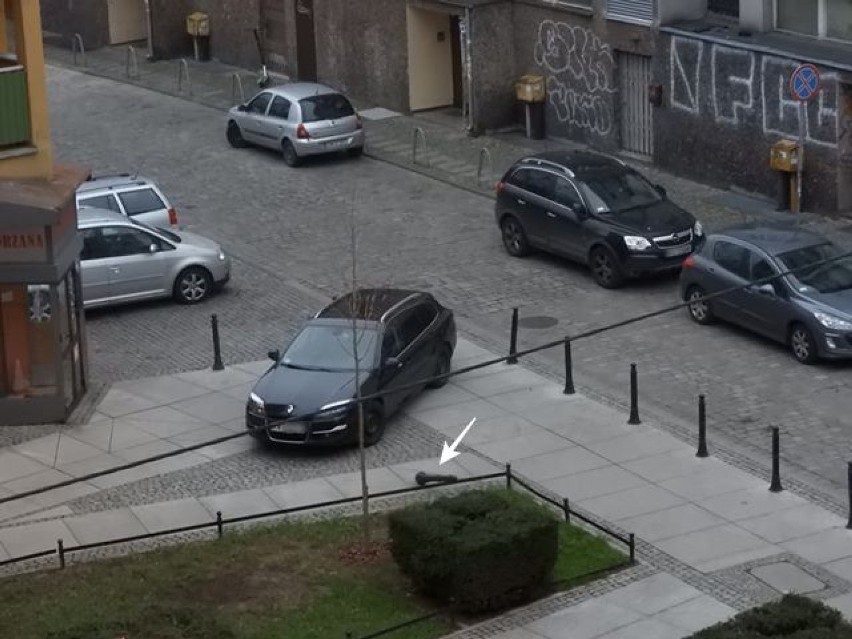 Kierowcy! Tak nie parkujcie! Oto "Wrocławskie Święte Krowy". Zobaczcie zdjęcia!