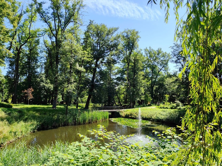 Sielski park w Gliwicach oczarował mieszkańców! Znacie to miejsce? Zobaczcie ZDJĘCIA. 