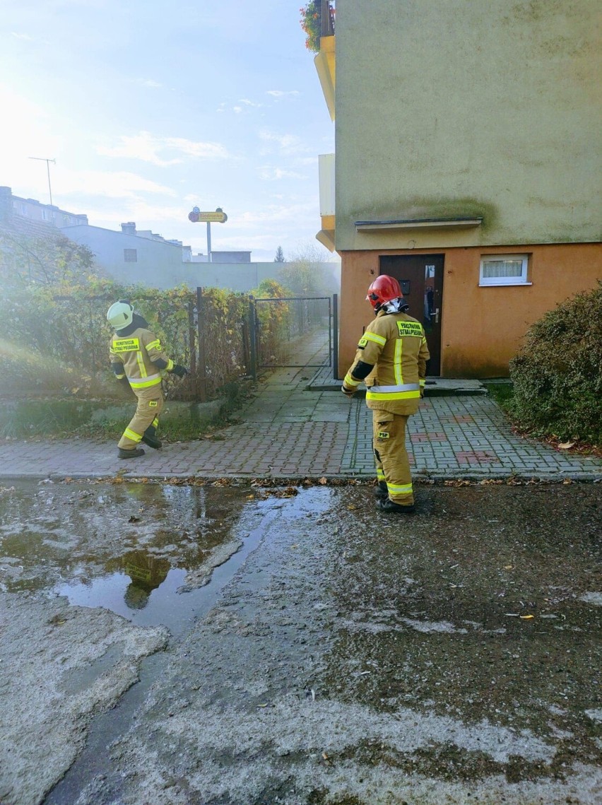 Do pożaru budynku w Czerwieńsku zadysponowano kilka...