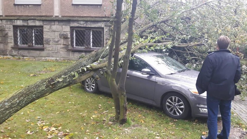 Orkan Grzegorz w Katowicach: połamane drzewa, zerwane dachy ZDJĘCIA