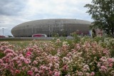 Podaruj rower dziecku. Zbiórka rowerów pod Tauron Areną Kraków