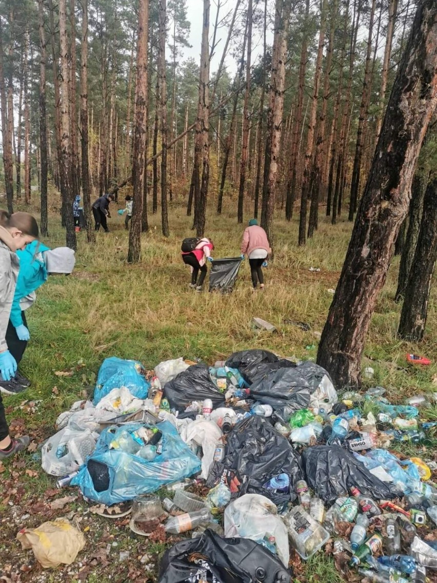 Akcja sprzątania lasu w Rokitkach