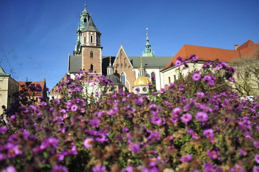 Wawel jesienny