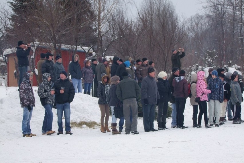 Węgierska Górka: Międzynarodowe Zawody Furmanów 2013 [ZOBACZ ZDJĘCIA]