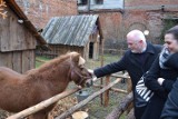 Częstochowa: szopka na Jasnej Górze tradycyjnie przyciąga tłumy [ZDJĘCIA]