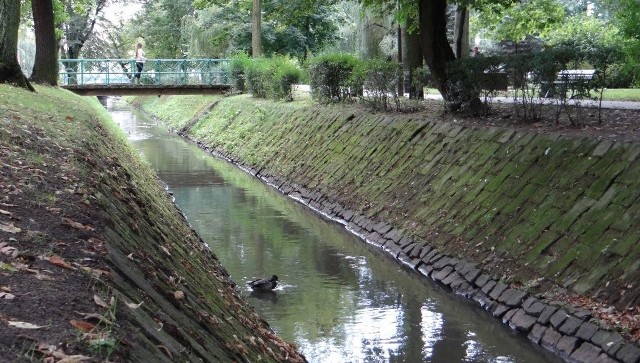 Radomka - Park Świętojański