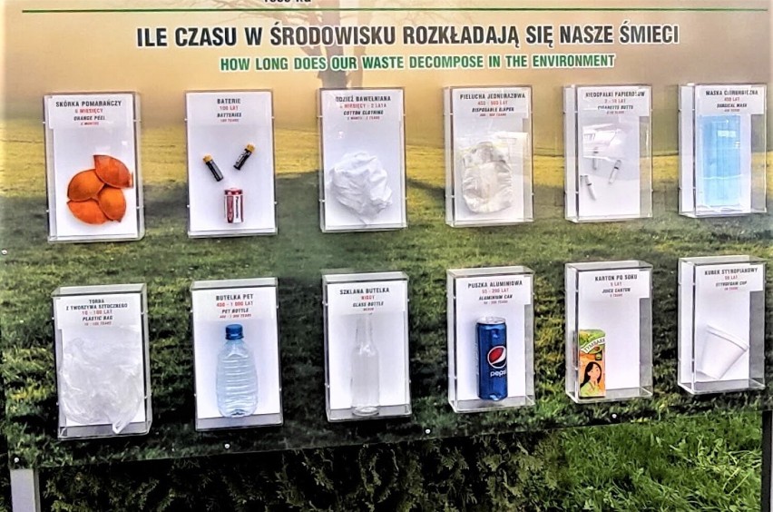 Tablica edukacyjna przed Starostwem Powiatowym w Malborku