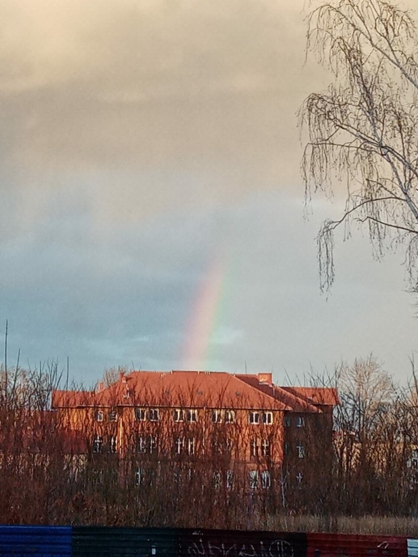 Tęcza w środku zimy? Zobacz zjawiskową styczniową tęczę w Legnicy. Zdjęcia czytelników