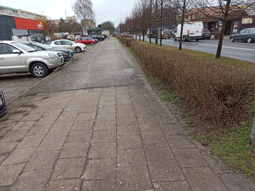Rawicz. Dwie nowe ścieżki pieszo-rowerowe w mieście. Powstaną przy ulicy Sarnowskiej i na osiedlu Westerplatte [ZDJĘCIA]