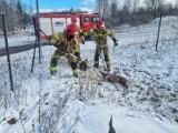Najczęściej wyjeżdżano do gaszenia pożarów – strażacy z powiatu kwidzyńskiego podsumowali zdarzenia z minionego tygodnia