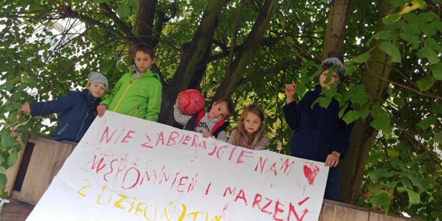 Dzieci z osiedla PSM "Kolejarz" w Sopocie bronią swojego domku na drzewie
