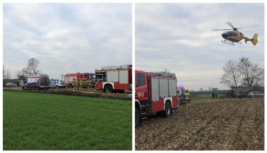 Drzewo przygniotło mężczyznę w powiecie radziejowskim