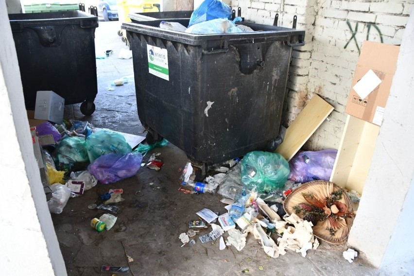 Śmieci wysypują się z pojemników, nie są odbierane z altan w Kielcach. Znamy przyczyny i sposób rozwiązania problemu (ZDJĘCIA)