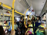 Prezentacja autobusów elektrycznych w Cieszynie. Przed ratuszem spotkały się dwa światy. Zobacz zdjęcia z obu przejażdżek