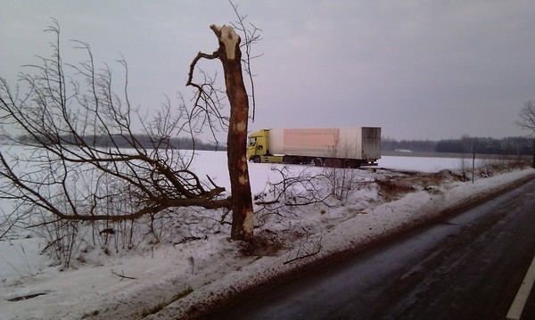 Ciężarówka wypadła z drogi, złamała drzewo i wjechała w pole