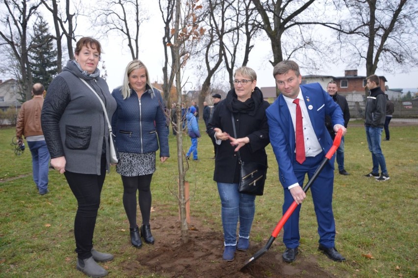 Szesnaście sołectw gminy Wejherowo posadziło "Dęby Niepodległości" [ZDJĘCIA]