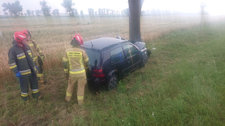 Samochód wypadł z drogi i uderzył w drzewo. Kierowcę ukarano mandatem