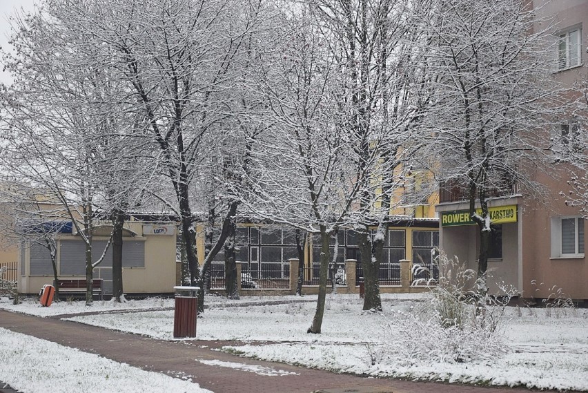 Pierwszy śnieg w Kraśniku. W mieście zrobiło się biało. Zobacz zdjęcia z zimy 2020 w Kraśniku