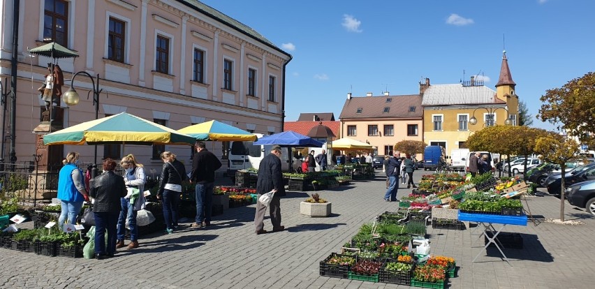 Sprzedający rozstawili swoje stragany obok tuchowskiego...