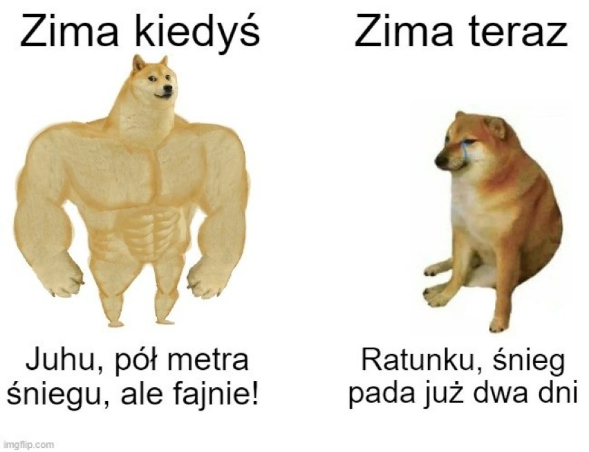 Najlepsze memy o zimie, czyli atak zimy na wesoło w oczach...