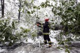 Pamiętacie majowy śnieg w Legnicy? to już dwanaście lat minęło, zobaczcie zdjęcia