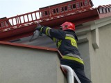 Strażacy uratowali gołębia [zdjęcia]