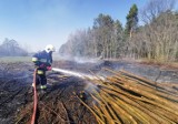 Pożary w powiecie pleszewskim. Strażacy interweniowali w kilku gminach