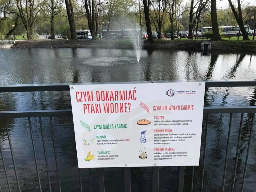 Kaczkomaty zainstalowano w Parku Miejskim

ZOBACZ TEŻ: Polub...