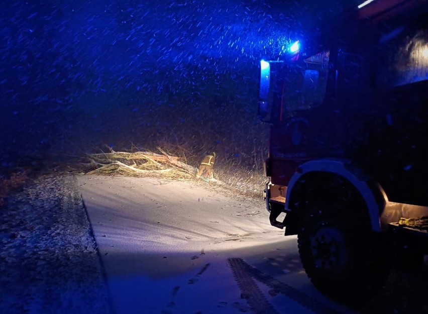 W Lipnicy tuż przed karetką runęło drzewo. Strażacy z powiatu bytowskiego walczą ze skutkami wichury